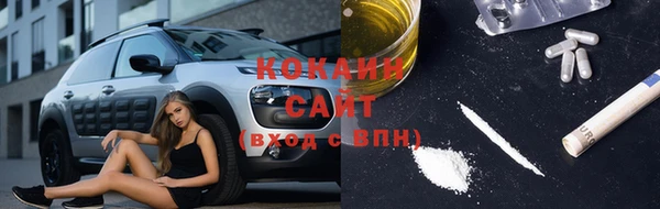 спиды Богородск
