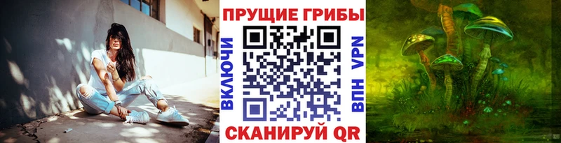 продажа наркотиков  Саратов  Галлюциногенные грибы Cubensis 